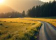 Reisetipps für introvertierte